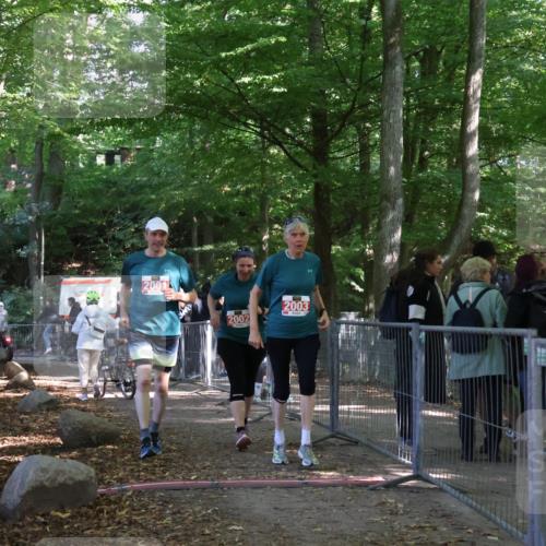 28.09.2025 - 33. Volkslauf durch das schöne Alstertal Strokosch-Dieckow http://msf.ph/oto/8958079 28.09.2025 13:09:09 Ziel 2001, 2002, 2003 meine-sportfotos.de