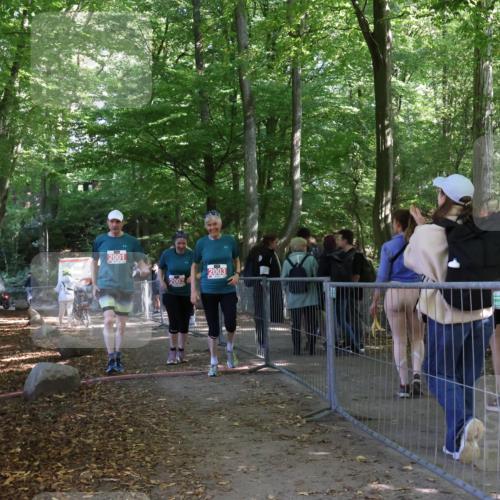 28.09.2025 - 33. Volkslauf durch das schöne Alstertal Strokosch-Dieckow http://msf.ph/oto/8958085 28.09.2025 13:09:10 Ziel 2001, 2002, 2003 meine-sportfotos.de