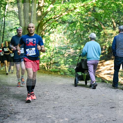 28.09.2025 - 33. Volkslauf durch das schöne Alstertal Dr. Thomas Lammeyer http://msf.ph/oto/8958145 28.09.2025 10:50:40 Laufen 88, 3955 meine-sportfotos.de