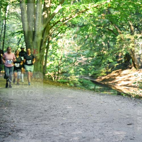 28.09.2025 - 33. Volkslauf durch das schöne Alstertal Dr. Thomas Lammeyer http://msf.ph/oto/8958323 28.09.2025 10:51:19 Laufen  meine-sportfotos.de