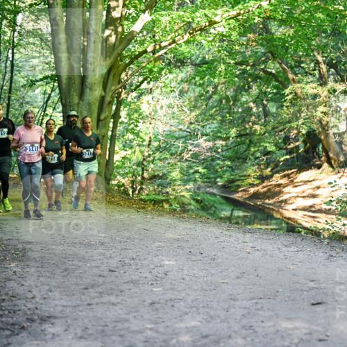 28.09.2025 - 33. Volkslauf durch das schöne Alstertal Dr. Thomas Lammeyer http://msf.ph/oto/8958327 28.09.2025 10:51:19 Laufen 3112, 3141, 3218, 3217 meine-sportfotos.de