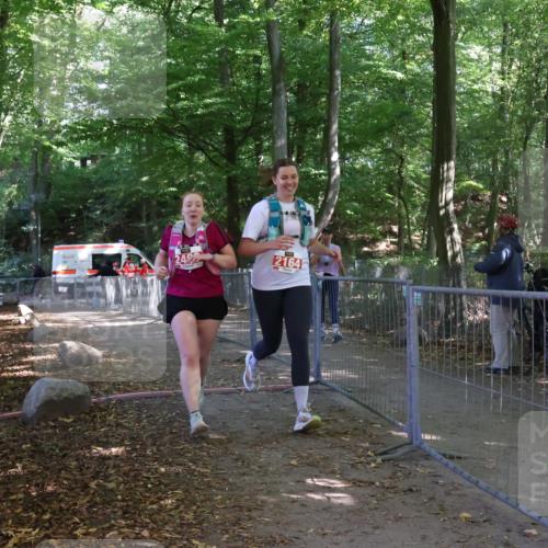 28.09.2025 - 33. Volkslauf durch das schöne Alstertal Strokosch-Dieckow http://msf.ph/oto/8958415 28.09.2025 13:17:26 Ziel 2164, 2409 meine-sportfotos.de