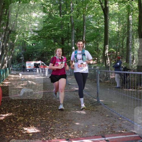 28.09.2025 - 33. Volkslauf durch das schöne Alstertal Strokosch-Dieckow http://msf.ph/oto/8958422 28.09.2025 13:17:27 Ziel 2164, 2409 meine-sportfotos.de