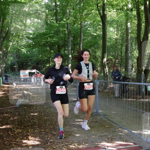 28.09.2025 - 33. Volkslauf durch das schöne Alstertal Strokosch-Dieckow http://msf.ph/oto/8958524 28.09.2025 13:17:38 Ziel 2643, 2644 meine-sportfotos.de
