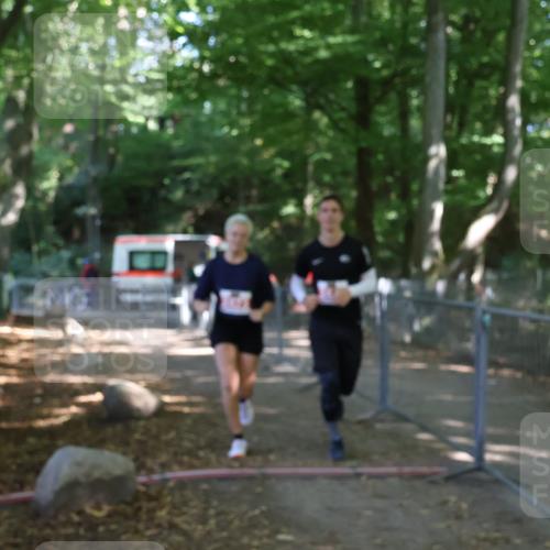 28.09.2025 - 33. Volkslauf durch das schöne Alstertal Strokosch-Dieckow http://msf.ph/oto/8958550 28.09.2025 13:20:52 Ziel 2473, 2474 meine-sportfotos.de