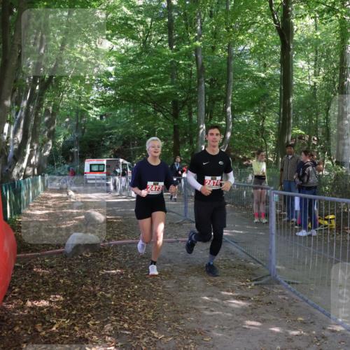 28.09.2025 - 33. Volkslauf durch das schöne Alstertal Strokosch-Dieckow http://msf.ph/oto/8958570 28.09.2025 13:20:53 Ziel 2473, 2474 meine-sportfotos.de