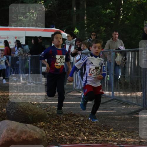 28.09.2025 - 33. Volkslauf durch das schöne Alstertal Strokosch-Dieckow http://msf.ph/oto/8958714 28.09.2025 10:41:57 Ziel  meine-sportfotos.de