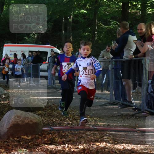 28.09.2025 - 33. Volkslauf durch das schöne Alstertal Strokosch-Dieckow http://msf.ph/oto/8958722 28.09.2025 10:41:57 Ziel  meine-sportfotos.de