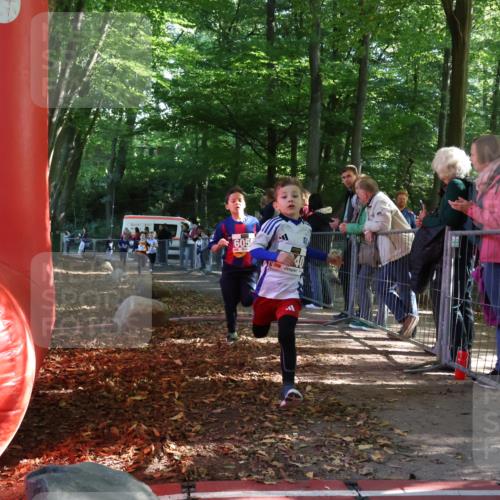 28.09.2025 - 33. Volkslauf durch das schöne Alstertal Strokosch-Dieckow http://msf.ph/oto/8958737 28.09.2025 10:41:58 Ziel  meine-sportfotos.de