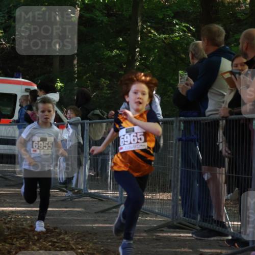 28.09.2025 - 33. Volkslauf durch das schöne Alstertal Strokosch-Dieckow http://msf.ph/oto/8958747 28.09.2025 10:42:00 Ziel  meine-sportfotos.de