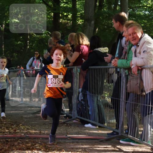 28.09.2025 - 33. Volkslauf durch das schöne Alstertal Strokosch-Dieckow http://msf.ph/oto/8958749 28.09.2025 10:42:01 Ziel  meine-sportfotos.de