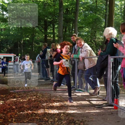 28.09.2025 - 33. Volkslauf durch das schöne Alstertal Strokosch-Dieckow http://msf.ph/oto/8958752 28.09.2025 10:42:01 Ziel  meine-sportfotos.de