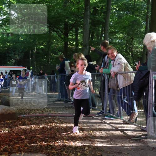 28.09.2025 - 33. Volkslauf durch das schöne Alstertal Strokosch-Dieckow http://msf.ph/oto/8958761 28.09.2025 10:42:02 Ziel  meine-sportfotos.de