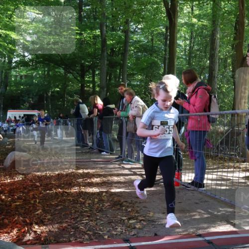 28.09.2025 - 33. Volkslauf durch das schöne Alstertal Strokosch-Dieckow http://msf.ph/oto/8958766 28.09.2025 10:42:03 Ziel  meine-sportfotos.de
