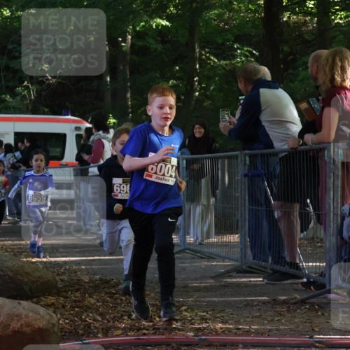 28.09.2025 - 33. Volkslauf durch das schöne Alstertal Strokosch-Dieckow http://msf.ph/oto/8958768 28.09.2025 10:42:04 Ziel  meine-sportfotos.de