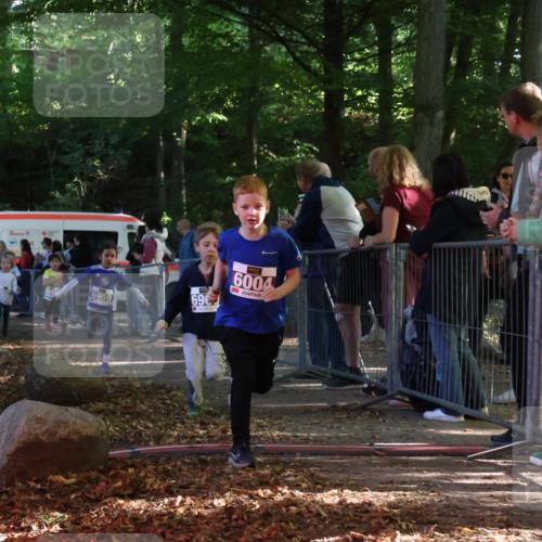 28.09.2025 - 33. Volkslauf durch das schöne Alstertal Strokosch-Dieckow http://msf.ph/oto/8958771 28.09.2025 10:42:05 Ziel  meine-sportfotos.de