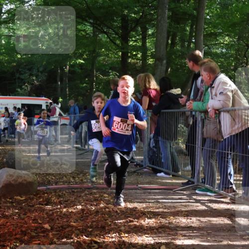 28.09.2025 - 33. Volkslauf durch das schöne Alstertal Strokosch-Dieckow http://msf.ph/oto/8958774 28.09.2025 10:42:05 Ziel  meine-sportfotos.de