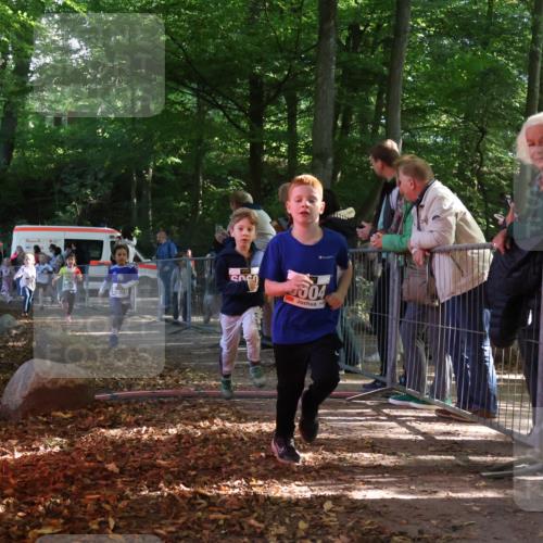 28.09.2025 - 33. Volkslauf durch das schöne Alstertal Strokosch-Dieckow http://msf.ph/oto/8958776 28.09.2025 10:42:05 Ziel  meine-sportfotos.de