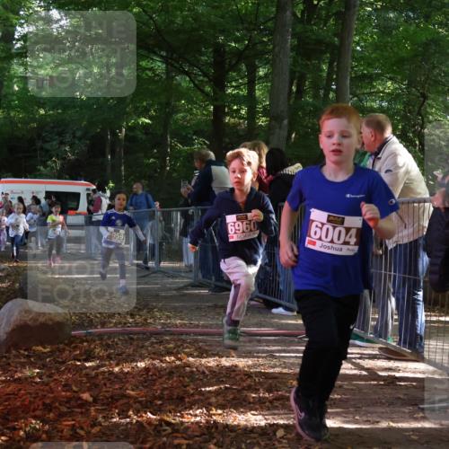 28.09.2025 - 33. Volkslauf durch das schöne Alstertal Strokosch-Dieckow http://msf.ph/oto/8958779 28.09.2025 10:42:06 Ziel  meine-sportfotos.de
