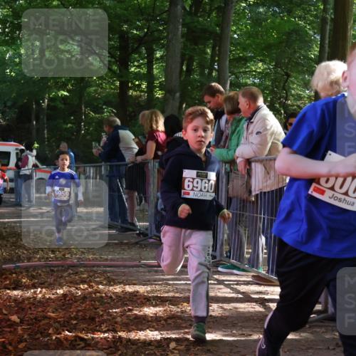28.09.2025 - 33. Volkslauf durch das schöne Alstertal Strokosch-Dieckow http://msf.ph/oto/8958781 28.09.2025 10:42:06 Ziel  meine-sportfotos.de