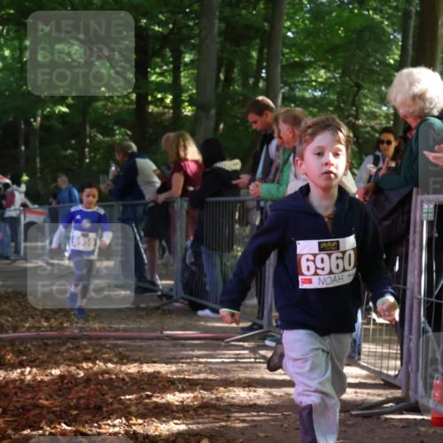 28.09.2025 - 33. Volkslauf durch das schöne Alstertal Strokosch-Dieckow http://msf.ph/oto/8958784 28.09.2025 10:42:06 Ziel  meine-sportfotos.de