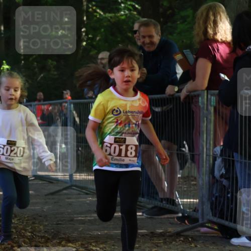 28.09.2025 - 33. Volkslauf durch das schöne Alstertal Strokosch-Dieckow http://msf.ph/oto/8958793 28.09.2025 10:42:09 Ziel  meine-sportfotos.de