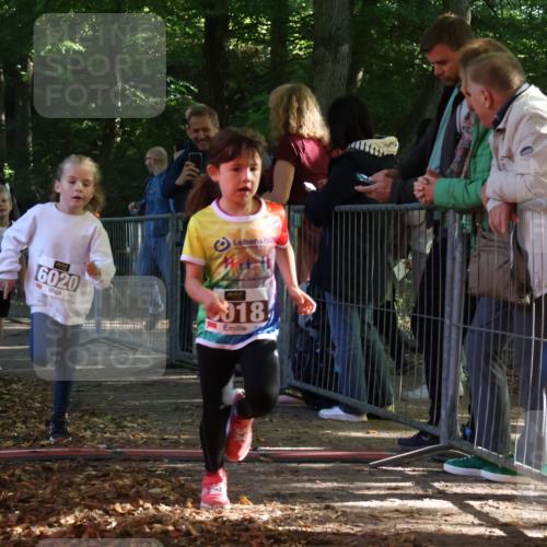 28.09.2025 - 33. Volkslauf durch das schöne Alstertal Strokosch-Dieckow http://msf.ph/oto/8958795 28.09.2025 10:42:09 Ziel  meine-sportfotos.de