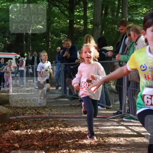 28.09.2025 - 33. Volkslauf durch das schöne Alstertal Strokosch-Dieckow http://msf.ph/oto/8958803 28.09.2025 10:42:10 Ziel  meine-sportfotos.de