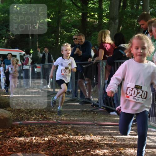 28.09.2025 - 33. Volkslauf durch das schöne Alstertal Strokosch-Dieckow http://msf.ph/oto/8958805 28.09.2025 10:42:10 Ziel  meine-sportfotos.de