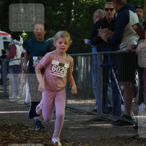 28.09.2025 - 33. Volkslauf durch das schöne Alstertal Strokosch-Dieckow http://msf.ph/oto/8958814 28.09.2025 10:42:13 Ziel  meine-sportfotos.de