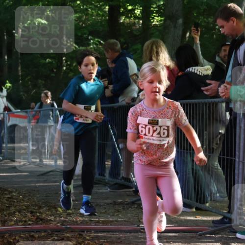 28.09.2025 - 33. Volkslauf durch das schöne Alstertal Strokosch-Dieckow http://msf.ph/oto/8958819 28.09.2025 10:42:14 Ziel  meine-sportfotos.de