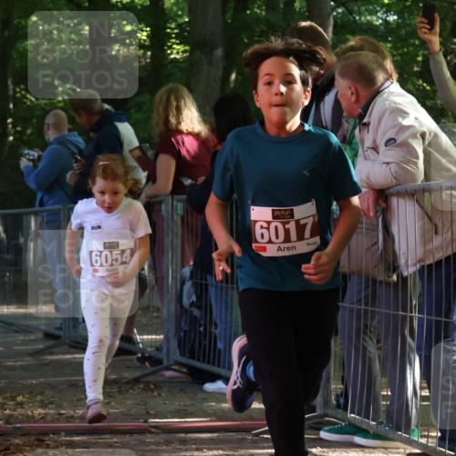 28.09.2025 - 33. Volkslauf durch das schöne Alstertal Strokosch-Dieckow http://msf.ph/oto/8958823 28.09.2025 10:42:15 Ziel  meine-sportfotos.de