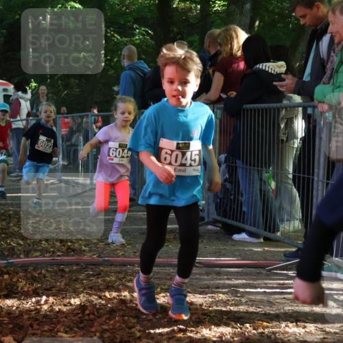 28.09.2025 - 33. Volkslauf durch das schöne Alstertal Strokosch-Dieckow http://msf.ph/oto/8958838 28.09.2025 10:42:19 Ziel  meine-sportfotos.de