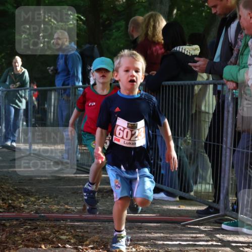 28.09.2025 - 33. Volkslauf durch das schöne Alstertal Strokosch-Dieckow http://msf.ph/oto/8958850 28.09.2025 10:42:21 Ziel  meine-sportfotos.de