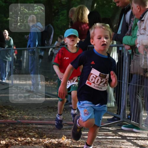 28.09.2025 - 33. Volkslauf durch das schöne Alstertal Strokosch-Dieckow http://msf.ph/oto/8958853 28.09.2025 10:42:21 Ziel  meine-sportfotos.de