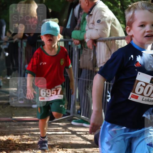 28.09.2025 - 33. Volkslauf durch das schöne Alstertal Strokosch-Dieckow http://msf.ph/oto/8958856 28.09.2025 10:42:22 Ziel  meine-sportfotos.de