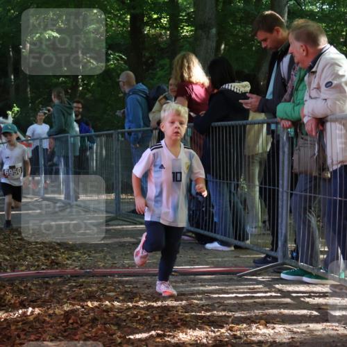 28.09.2025 - 33. Volkslauf durch das schöne Alstertal Strokosch-Dieckow http://msf.ph/oto/8958876 28.09.2025 10:42:26 Ziel  meine-sportfotos.de