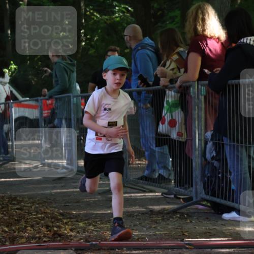 28.09.2025 - 33. Volkslauf durch das schöne Alstertal Strokosch-Dieckow http://msf.ph/oto/8958881 28.09.2025 10:42:28 Ziel  meine-sportfotos.de
