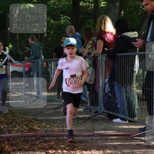 28.09.2025 - 33. Volkslauf durch das schöne Alstertal Strokosch-Dieckow http://msf.ph/oto/8958883 28.09.2025 10:42:28 Ziel  meine-sportfotos.de