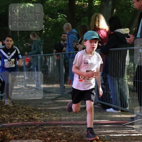 28.09.2025 - 33. Volkslauf durch das schöne Alstertal Strokosch-Dieckow http://msf.ph/oto/8958886 28.09.2025 10:42:29 Ziel  meine-sportfotos.de