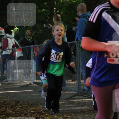 28.09.2025 - 33. Volkslauf durch das schöne Alstertal Strokosch-Dieckow http://msf.ph/oto/8958899 28.09.2025 10:42:31 Ziel  meine-sportfotos.de