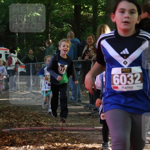 28.09.2025 - 33. Volkslauf durch das schöne Alstertal Strokosch-Dieckow http://msf.ph/oto/8958901 28.09.2025 10:42:31 Ziel  meine-sportfotos.de