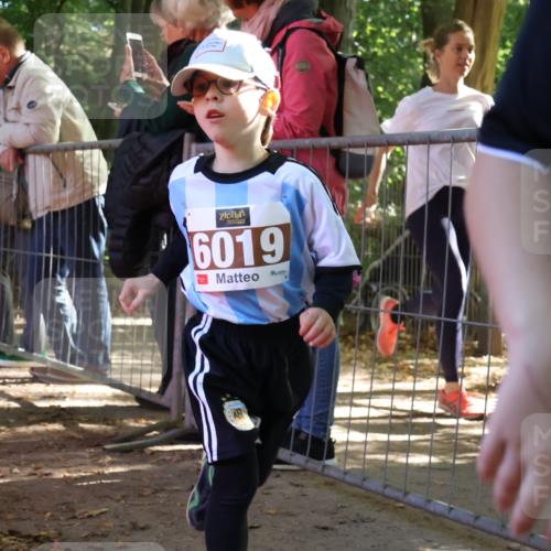 28.09.2025 - 33. Volkslauf durch das schöne Alstertal Strokosch-Dieckow http://msf.ph/oto/8958909 28.09.2025 10:42:33 Ziel  meine-sportfotos.de