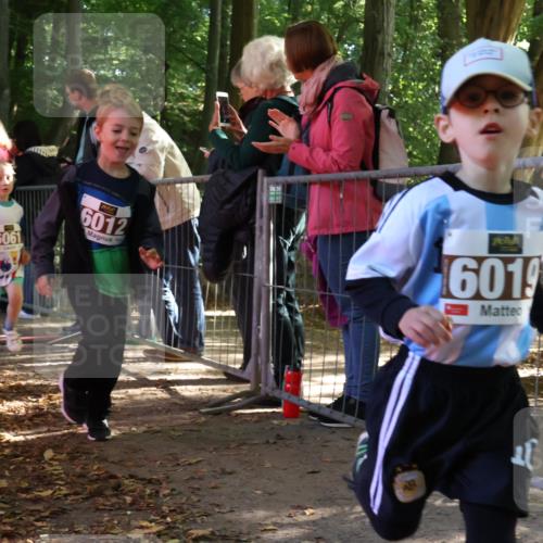 28.09.2025 - 33. Volkslauf durch das schöne Alstertal Strokosch-Dieckow http://msf.ph/oto/8958912 28.09.2025 10:42:33 Ziel  meine-sportfotos.de