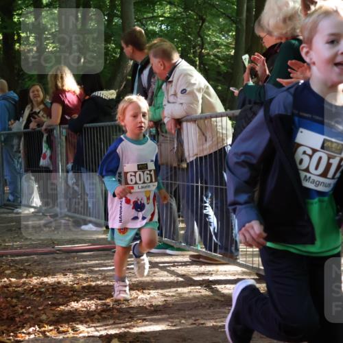 28.09.2025 - 33. Volkslauf durch das schöne Alstertal Strokosch-Dieckow http://msf.ph/oto/8958914 28.09.2025 10:42:34 Ziel  meine-sportfotos.de