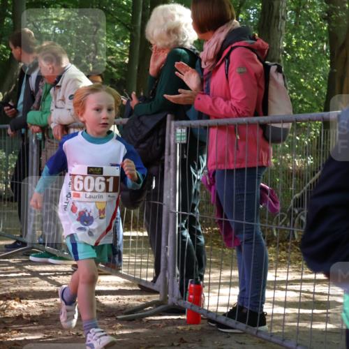 28.09.2025 - 33. Volkslauf durch das schöne Alstertal Strokosch-Dieckow http://msf.ph/oto/8958916 28.09.2025 10:42:34 Ziel  meine-sportfotos.de