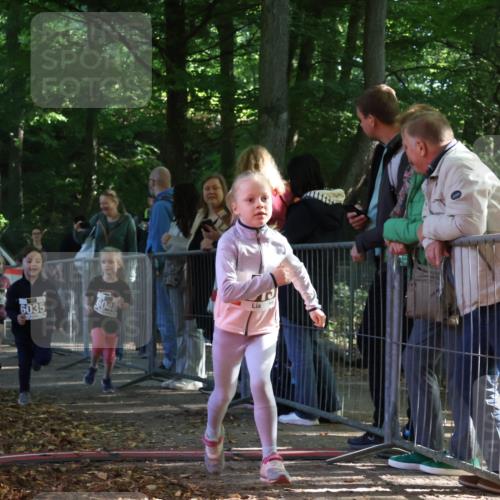 28.09.2025 - 33. Volkslauf durch das schöne Alstertal Strokosch-Dieckow http://msf.ph/oto/8958920 28.09.2025 10:42:35 Ziel  meine-sportfotos.de