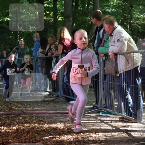 28.09.2025 - 33. Volkslauf durch das schöne Alstertal Strokosch-Dieckow http://msf.ph/oto/8958922 28.09.2025 10:42:35 Ziel  meine-sportfotos.de