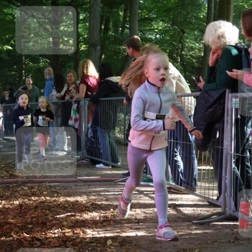 28.09.2025 - 33. Volkslauf durch das schöne Alstertal Strokosch-Dieckow http://msf.ph/oto/8958925 28.09.2025 10:42:36 Ziel  meine-sportfotos.de