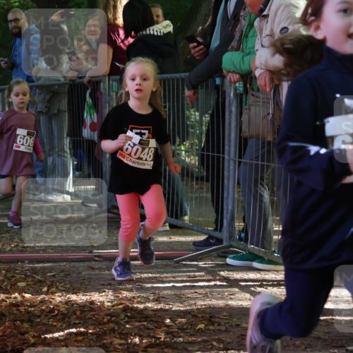 28.09.2025 - 33. Volkslauf durch das schöne Alstertal Strokosch-Dieckow http://msf.ph/oto/8958934 28.09.2025 10:42:38 Ziel  meine-sportfotos.de